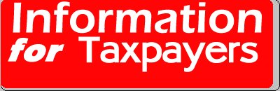 Taxpayer's information column